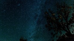 digital art space art night Trees sky