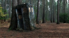 Doctor Who tardis Wood decay