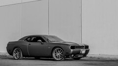 dodge challenger Dodge Car vehicle