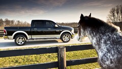 dodge ram Car pickup trucks Dodge black cars horse Animals fence