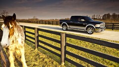 dodge ram truck road horse Animals vehicle Dodge Car Mammals