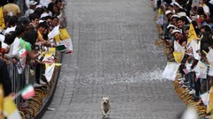 dog running People Animals