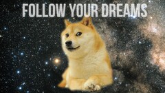 doge inspirational Animals motivational memes Mammals