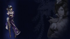 Dynasty Warriors 8 video games video game girls