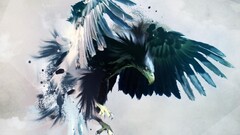 eagle Birds artwork feathers Animals