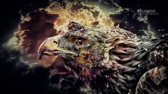 eagle digital art abstract Birds Animals