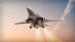 f14 Aircraft airplane f-14 tomcat military military aircraft