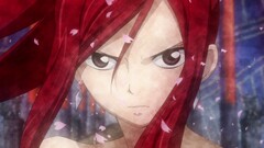 fairy tail Scarlet Erza Anime redhead anime girls