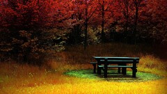 fall bench colorful Trees landscape nature