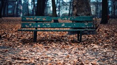 fall bench leaves