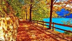 fall Trees pathway landscape