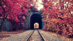 fall tunnel railway Trees Armenia red red leaves