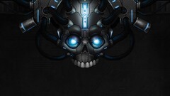 fantasy art portrait display artwork skull