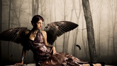 fantasy art wings fantasy girl Women