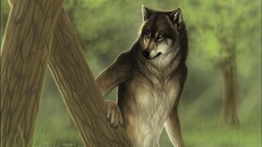fantasy art wolf anthro Animals