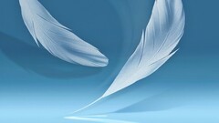 feathers blue background gradient artwork Simple Background cyan