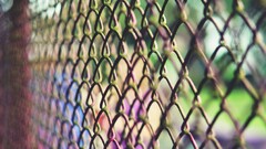 fence chain-link depth of field metal