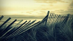 fence Sea grass sky