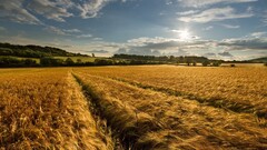 field landscape sky clouds