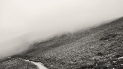 field monochrome mist path gray hill