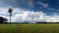 field sky clouds