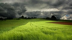 field storm landscape grass