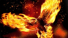 fire eagle Animals digital art Birds flame painter