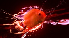 fish Animals red digital art