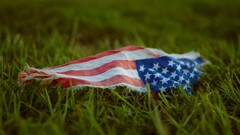 flag grass American Flag