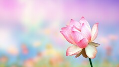 Flowers macro Plants