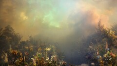 Flowers Plants nature landscape