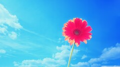 Flowers Plants sky Daisies red flowers outdoors blue background