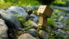 Flowers stones danbo
