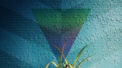 Flowers texture Plants