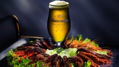 food beer drinking glass