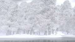 forest snow winter nature water Trees render white