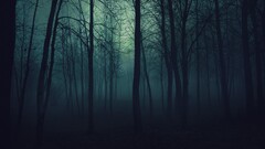 forest spooky dark landscape nature Trees