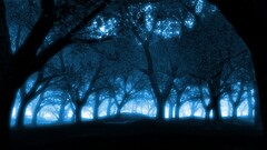 forest Trees blue cyan dark
