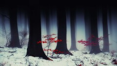 forest Trees snow mist nature winter