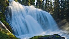 forest waterfall nature