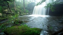 forest waterfall nature wet moss