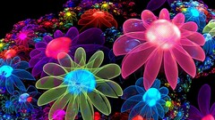 fractal flowers colorful digital art
