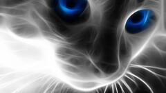 Fractalius cats blue eyes Animals