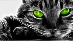Fractalius cats digital art Animals