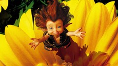 frontal view Flowers yellow