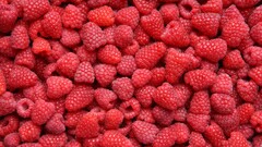 fruit food Berries red