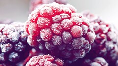 fruit raspberries Berries macro Violet red sugar food ice