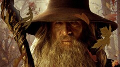 Gandalf Ian McKellen The Hobbit the lord of the rings fall