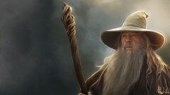 Gandalf the lord of the rings wizard Movies
