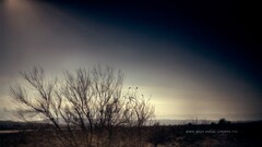 ghosts nine inch nails Music